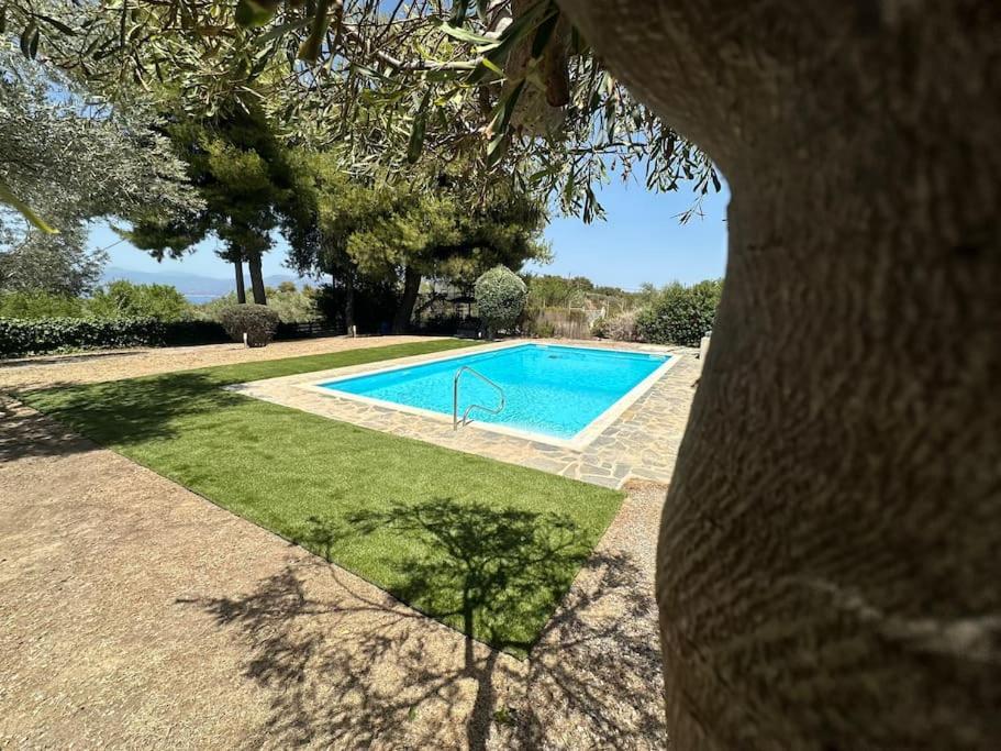 Villa Terrina Agioi Apostoloi  Dış mekan fotoğraf